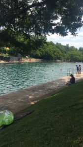 Barton Springs Pool is massive and is one of Austin's best warm weather activities.