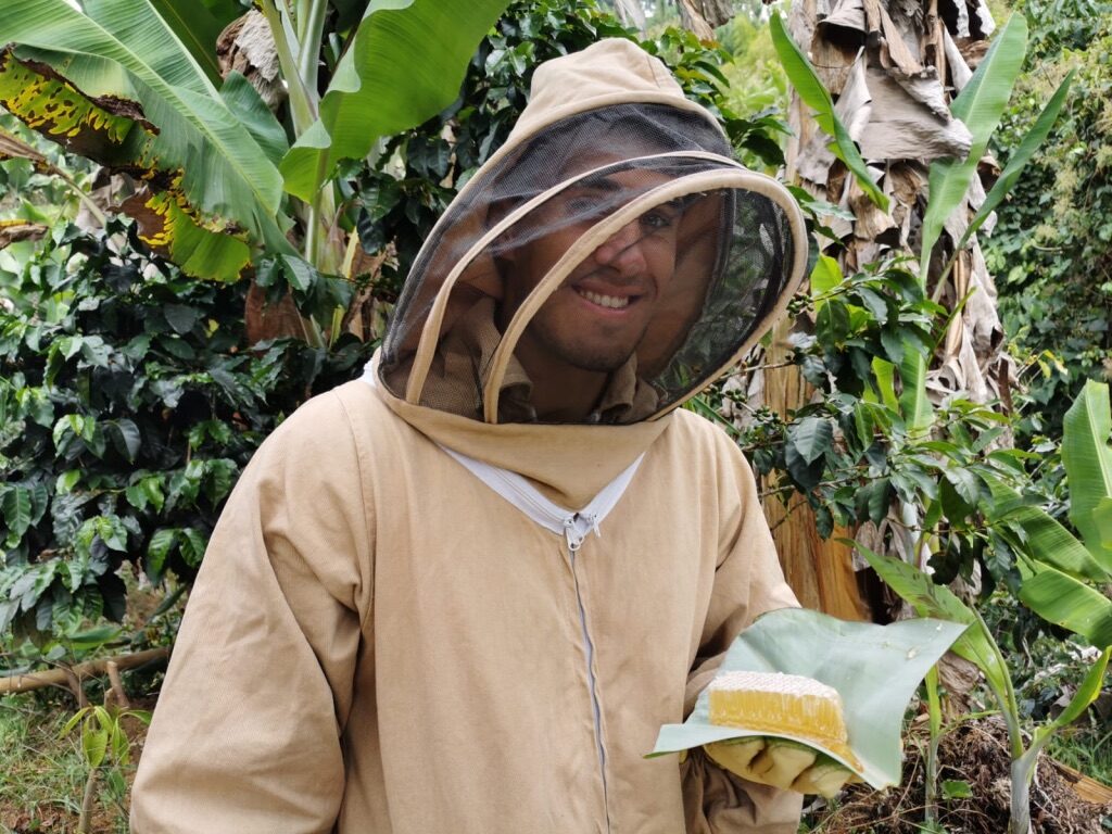 Fresh honey at a finca near Jardin, Colombia.
