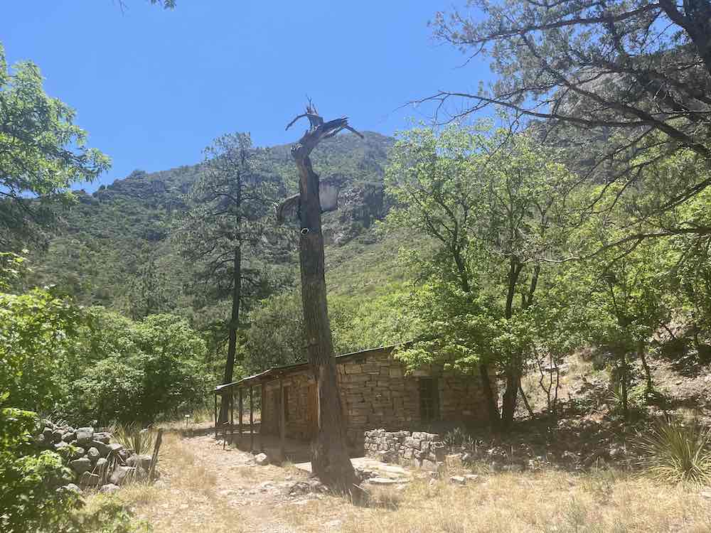 Hiking into McKittrick Canyon is a popular activity at the Guadalupe Mountains, one of the most underrated US National parks. 