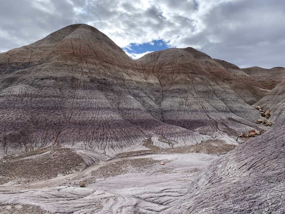 Colored badlands and petrified wood at Petrified Forest National Park. 