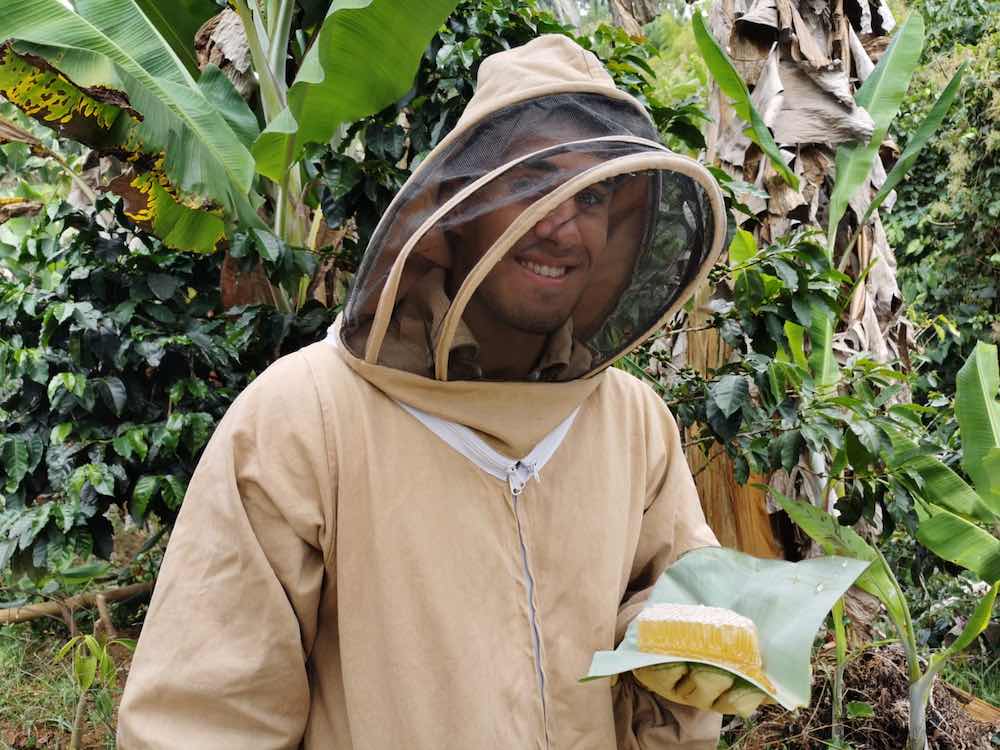 At Finca La Florida in Jardín, Colombia you can try fresh honey.