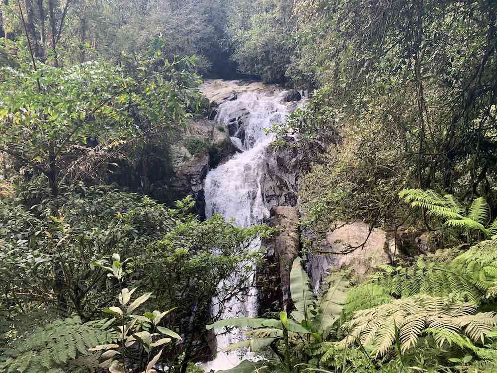 Waterfall in Cameron Highlands, Malaysia.