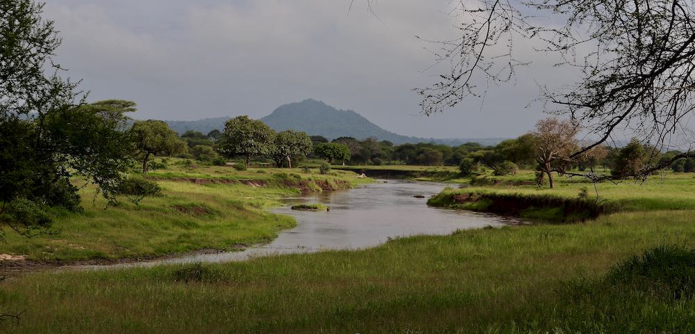 Tarangire National Park in Tanzania, one of our underrated countries to visit.